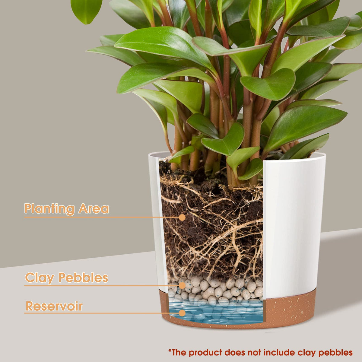 kubvici 10-inch green plant pot adds natural contrast for living spaces