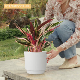 kubvici dual-drainage tray catches overflow for easy cleanup