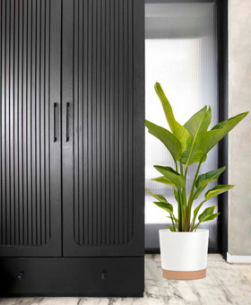 kubvici planters ideal for herbs, succulents, and flowers indoors