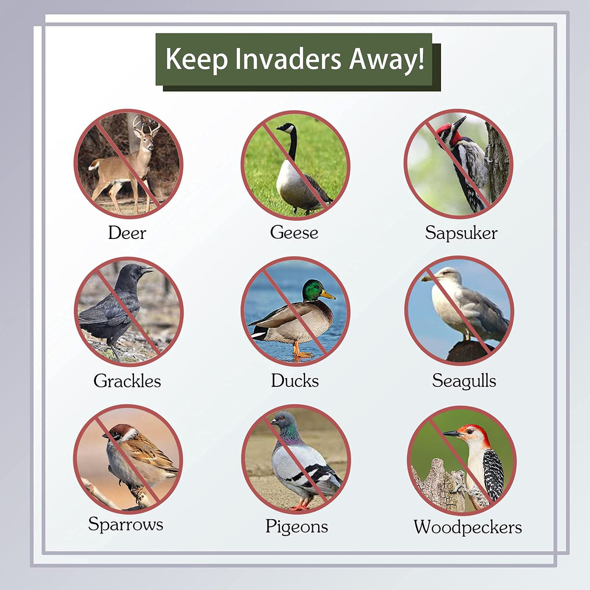 Kugge Bird Flash Tape uses UV-resistant PET for durable outdoor use