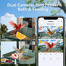 Kuikeo AI recognition identifies species in real time, enhancing birdwatching.