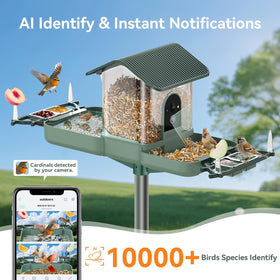 Kuikeo bird bath camera captures bathing moments in 2K, ideal for observing birds.