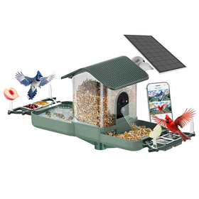 Kuikeo dual-lens bird feeder camera captures feeding moments in 2K with real-time alerts.
