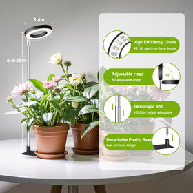 Kullsinss compact design fits small desks and shelves.