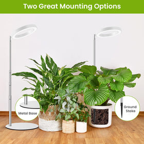 Kullsinss Grow Lights on desktop mount for flexible placement on small desks