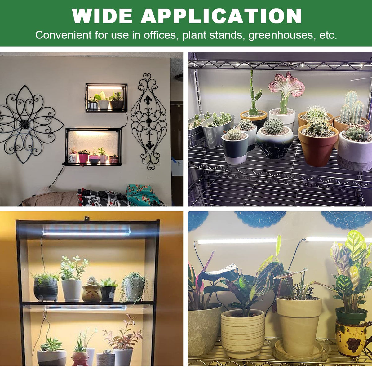 Kullsinss grow lights in a small indoor greenhouse energizing potted plants.