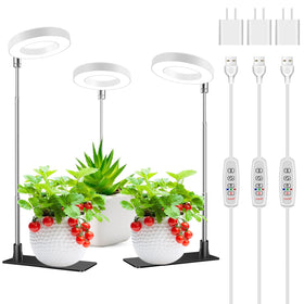 Kullsinss halo grow light base setup for stable desk plants.