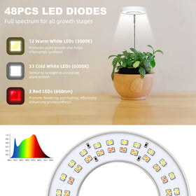 Kullsinss halo grow light room decor demonstrates modern design blending with home interiors.