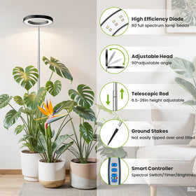 Kullsinss safe indoor lighting with efficient heat dissipation protects leaves.