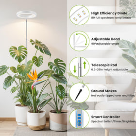 Kullsinss White Grow Light full-spectrum panel delivers all wavelengths for healthy growth.