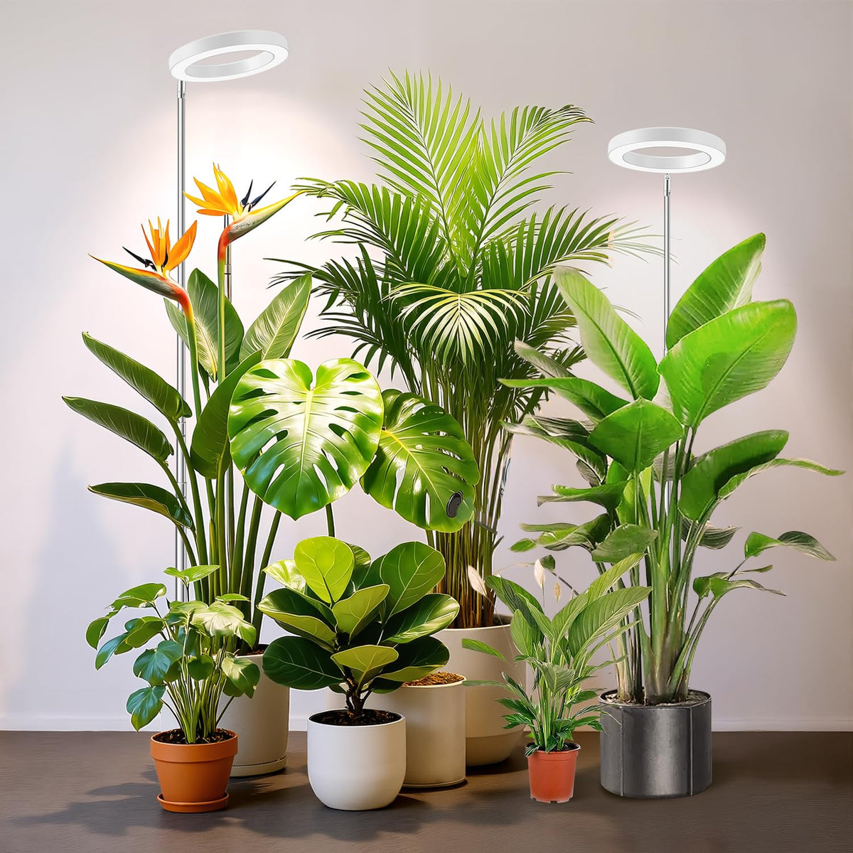 Kullsinss White Grow Light lamp head over a large plant for focused indoor growth.