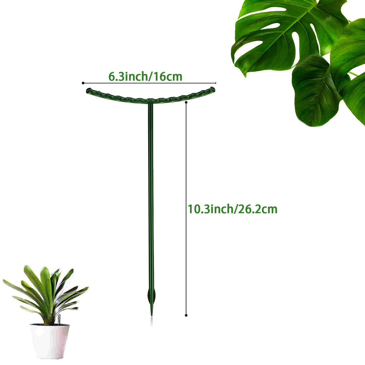 Kulusion half-round garden stake installation aids quick setup in pots.