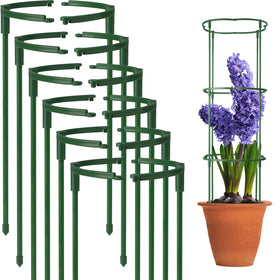 Kulusion half-round stake arc provides sturdy upright support for garden tomatoes and flowers