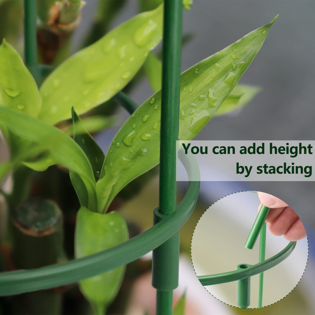 Kulusion plant stake in soil shows easy insertion and immediate support