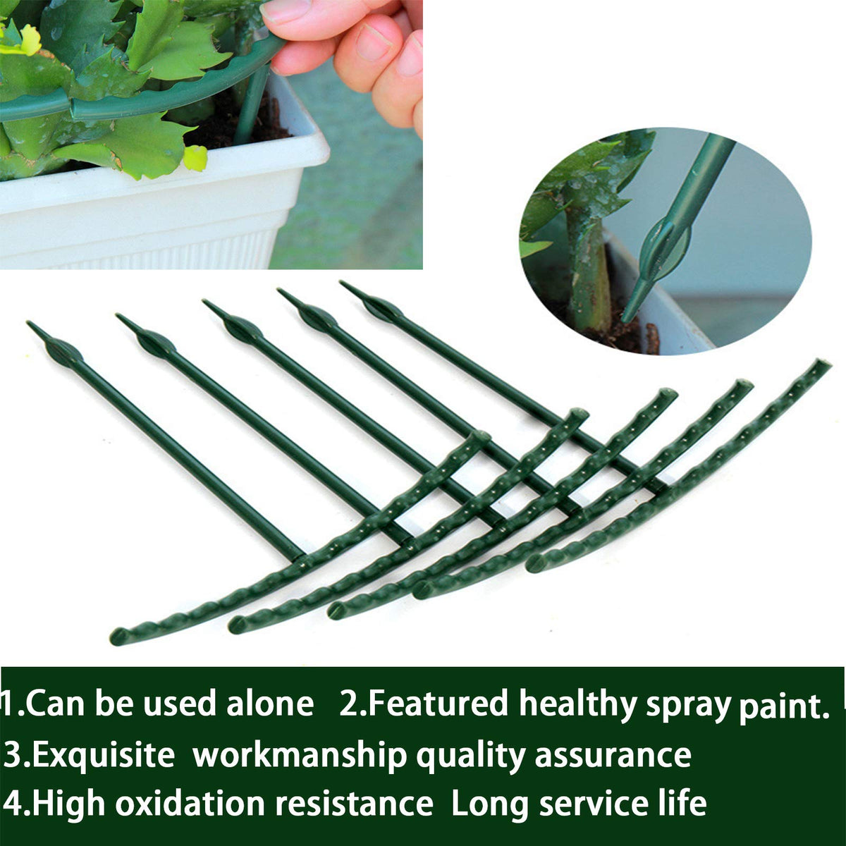 Kulusion plant support keeps vines from spreading and protects stems from wind.