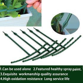 Kulusion plant support keeps vines from spreading and protects stems from wind.