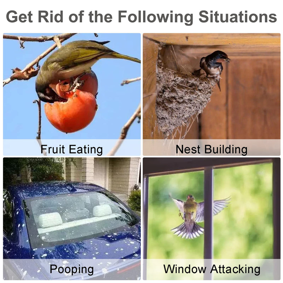 Kungfu Mall bird deterrent package includes mounting accessories.