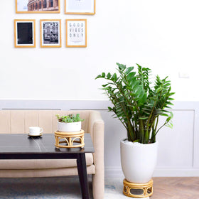 Kutorkill boho plant stand features handwoven cane pattern for warm decor.