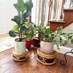 Kutorkill large rattan round riser raises a 12-inch plant for a bold focal point.