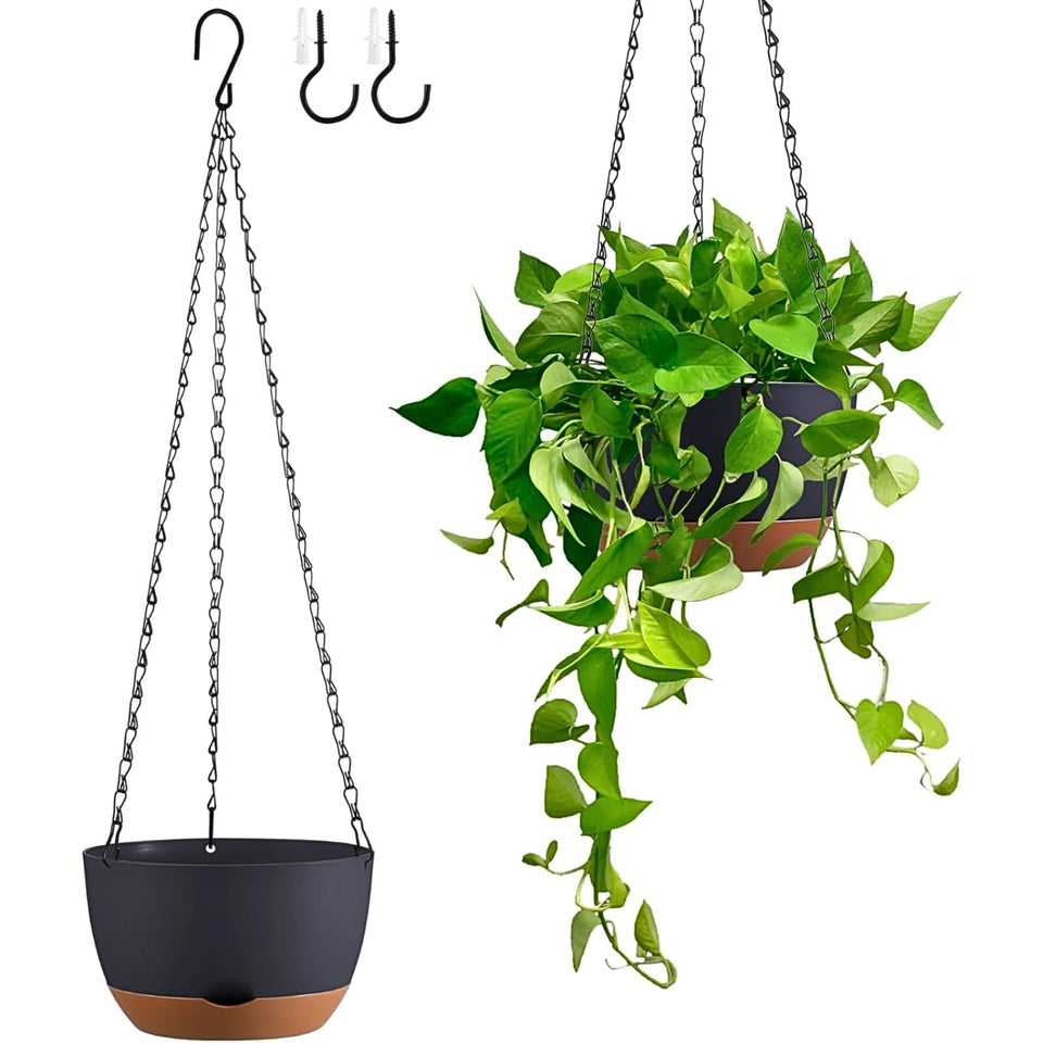 Kvetto 8-inch hanging planter with self-watering design for low-maintenance indoor greenery
