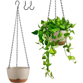 Kvetto 8-inch self-watering hanging planter keeps indoor plants hydrated.