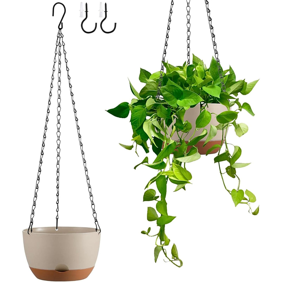 Kvetto 8-inch self-watering hanging planter keeps indoor plants hydrated.