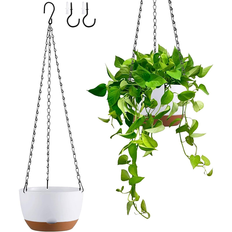 Kvetto hanging planter with color-block design for vibrant balcony styling.