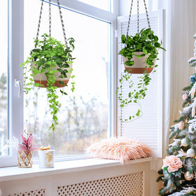 Kvetto versatile indoor-outdoor hanging planter for various spaces.