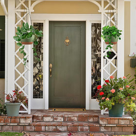 Kvetto planter suited for spider plant, ivy, and petunia with decorative appeal.