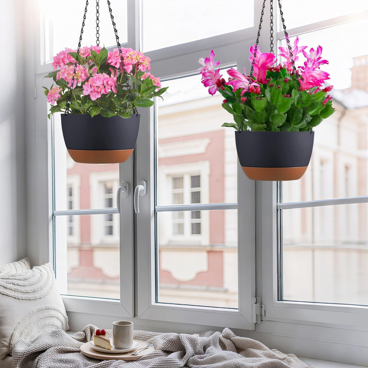 Kvetto accommodates medium to large plants like spider plant, ivy, and petunia