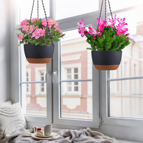 Kvetto accommodates medium to large plants like spider plant, ivy, and petunia