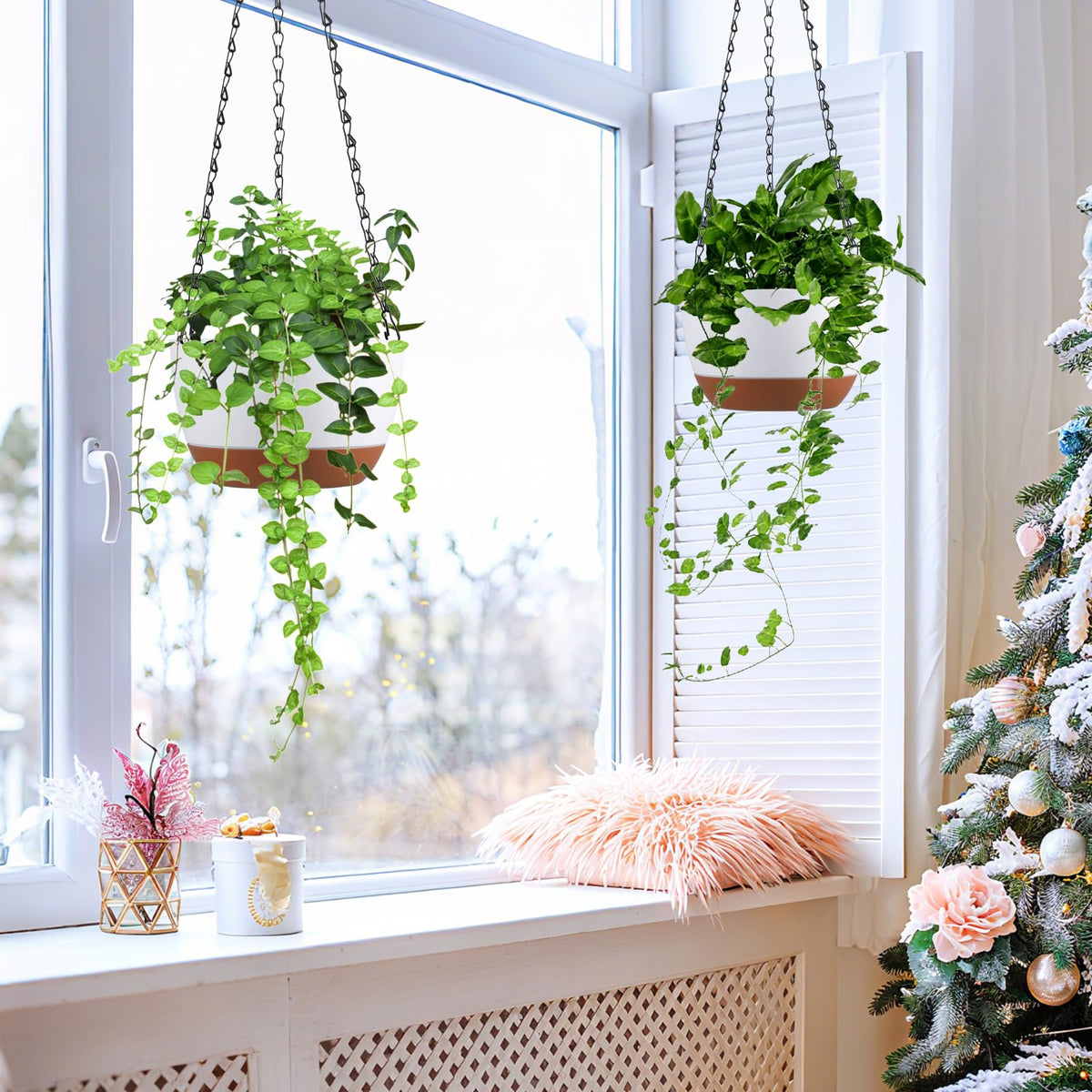 Kvetto planters holding ivy and petunia for decorative greenery.