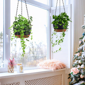 Kvetto vertical greening adds space-saving appeal to small patios