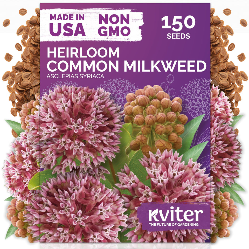 KVITER milkweed seeds with pink blooms attract monarchs and pollinators.
