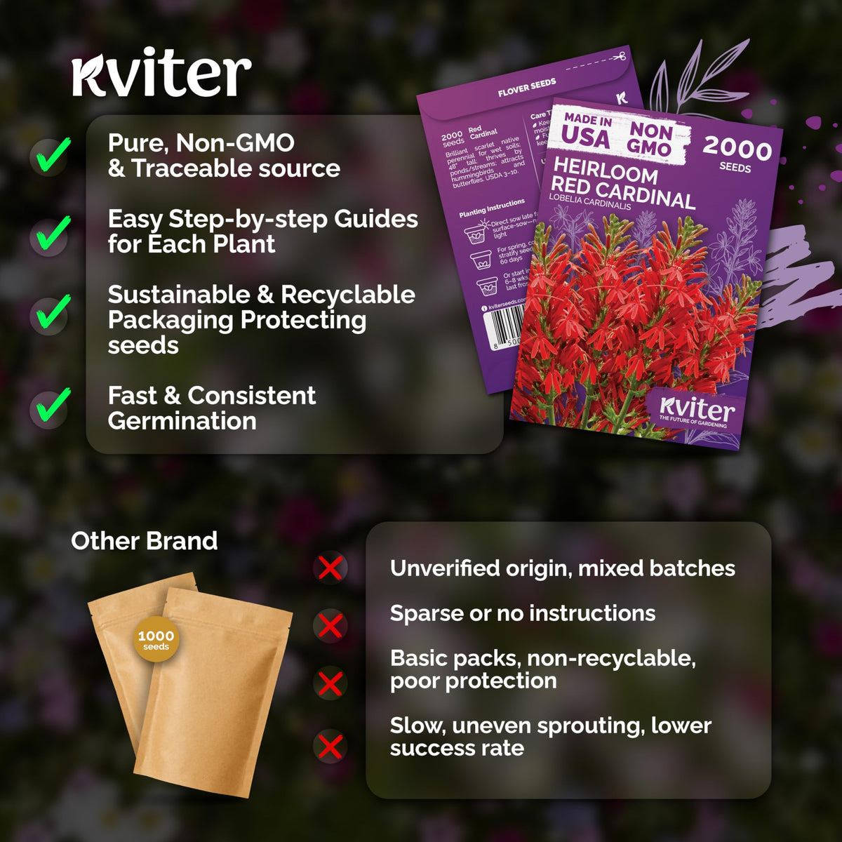 KVITER cardinal flower spikes with brilliant scarlet blooms in view.