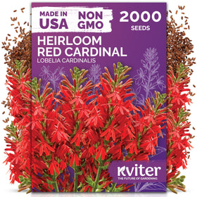 KVITER 2000 Red Cardinal Flower Seeds packaging, ideal for pollinator gardens.