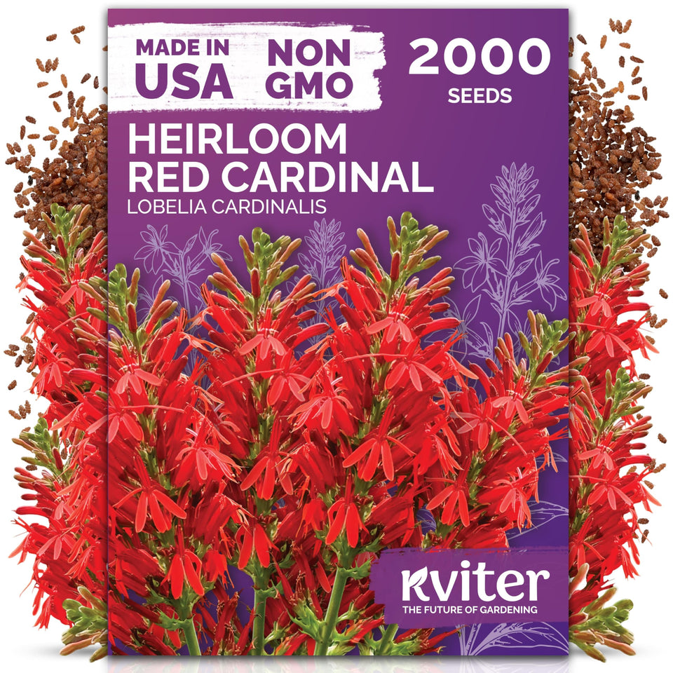 KVITER 2000 Red Cardinal Flower Seeds packaging, ideal for pollinator gardens.