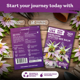 KVITER 350 Spotted Bee Balm seeds packaging photo for outdoor planting