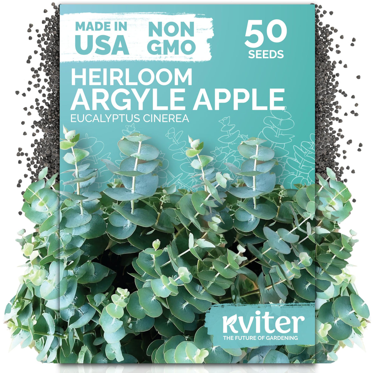 KVITER 50 Argyle Apple Eucalyptus seeds in seed packets for outdoor gardens