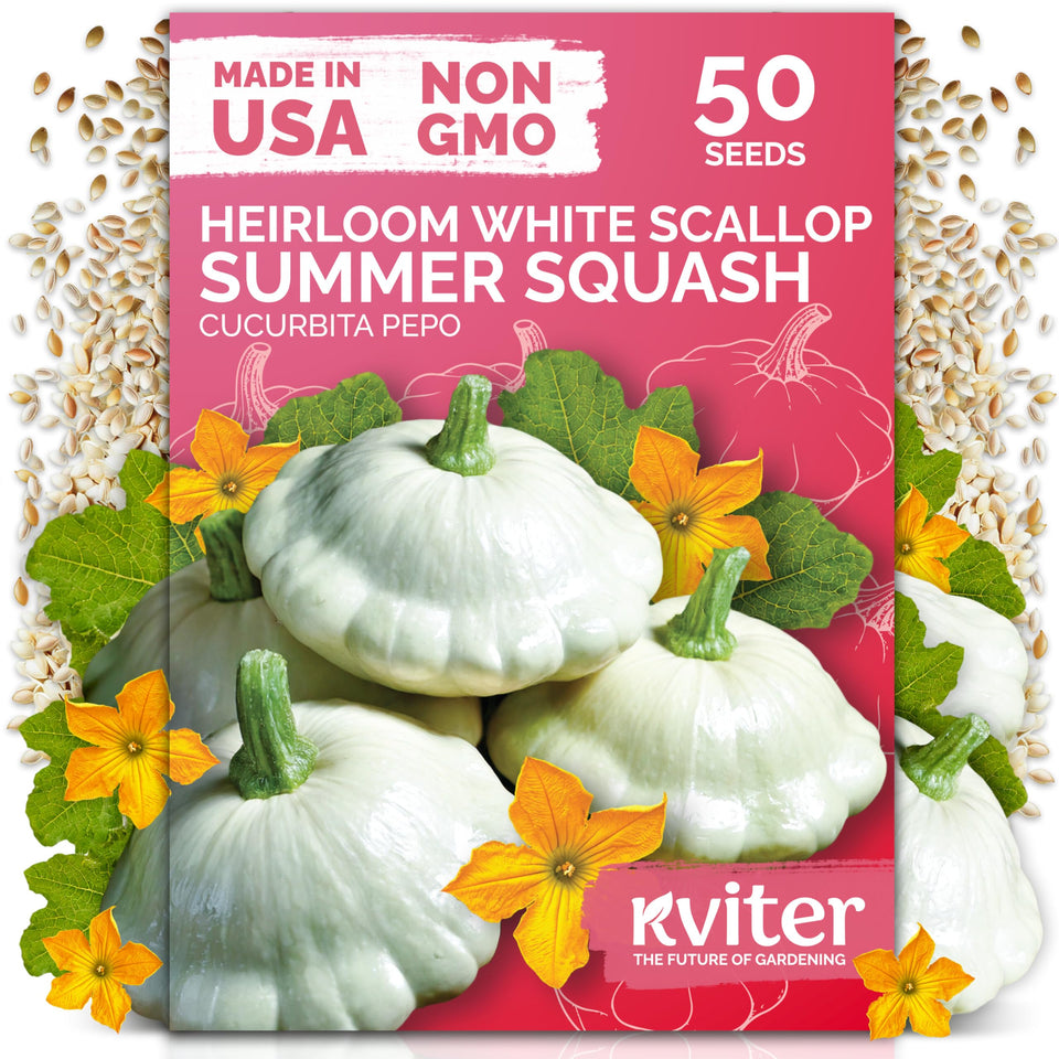 KVITER white patty pan seeds seed packet ready for planting in home garden