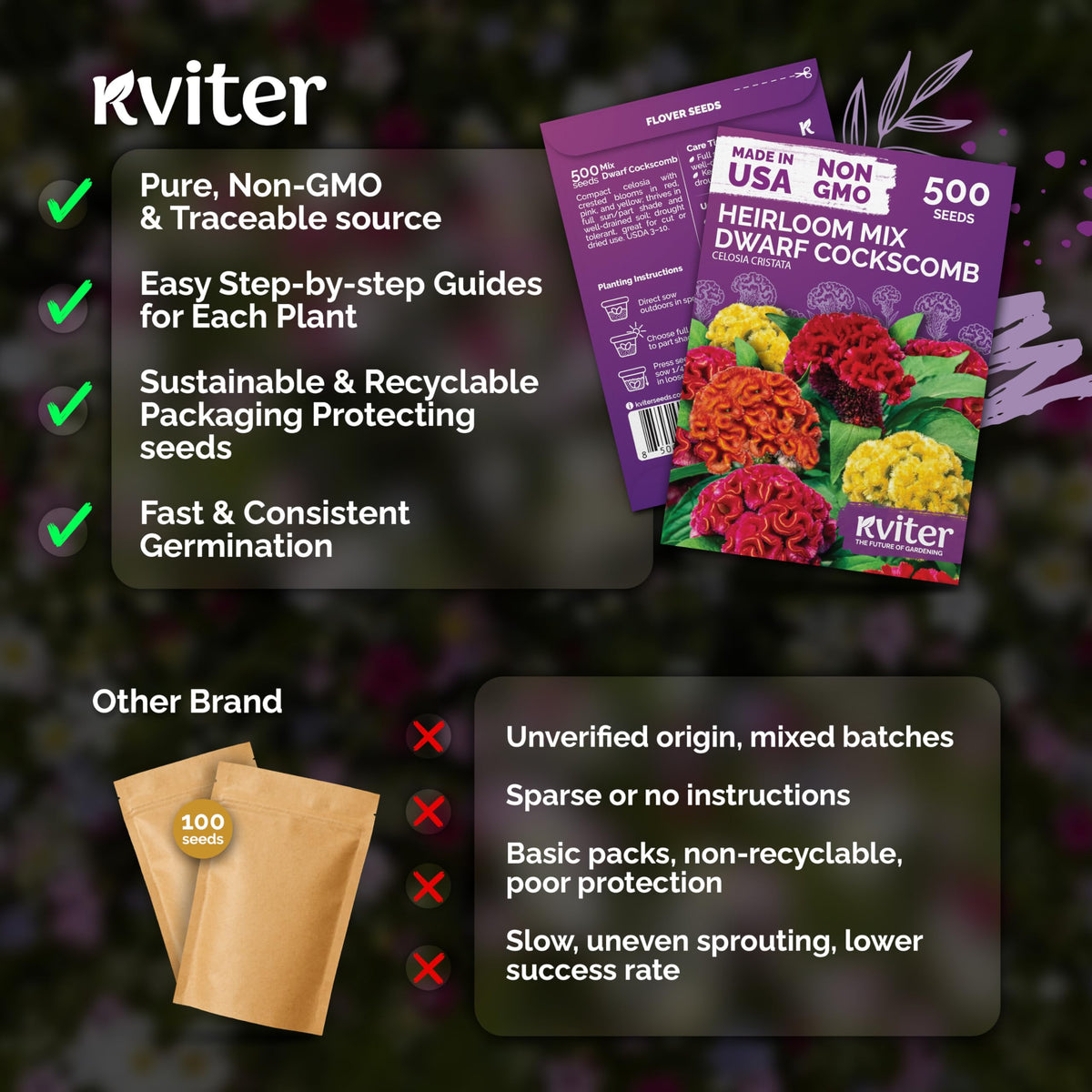KVITER 500 Dwarf Mix Cockscomb seeds ornamental garden focal points