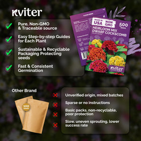 KVITER 500 Dwarf Mix Cockscomb seeds ornamental garden focal points