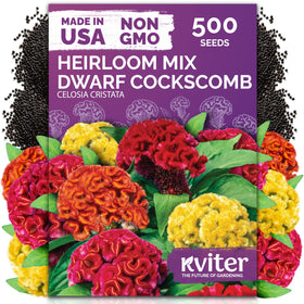 KVITER 500 Dwarf Mix Cockscomb seeds seed packet for planting and vibrant blooms
