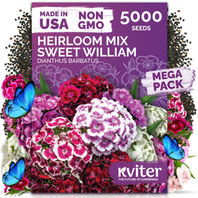 KVITER 5000 Mix Sweet William seeds with multicolor blooms for vibrant cottage gardens.