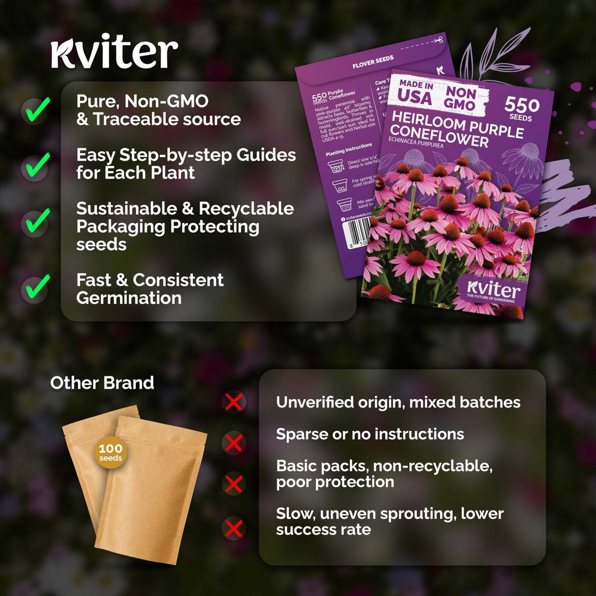 KVITER 550 Purple Coneflower seeds thriving in full sun growth