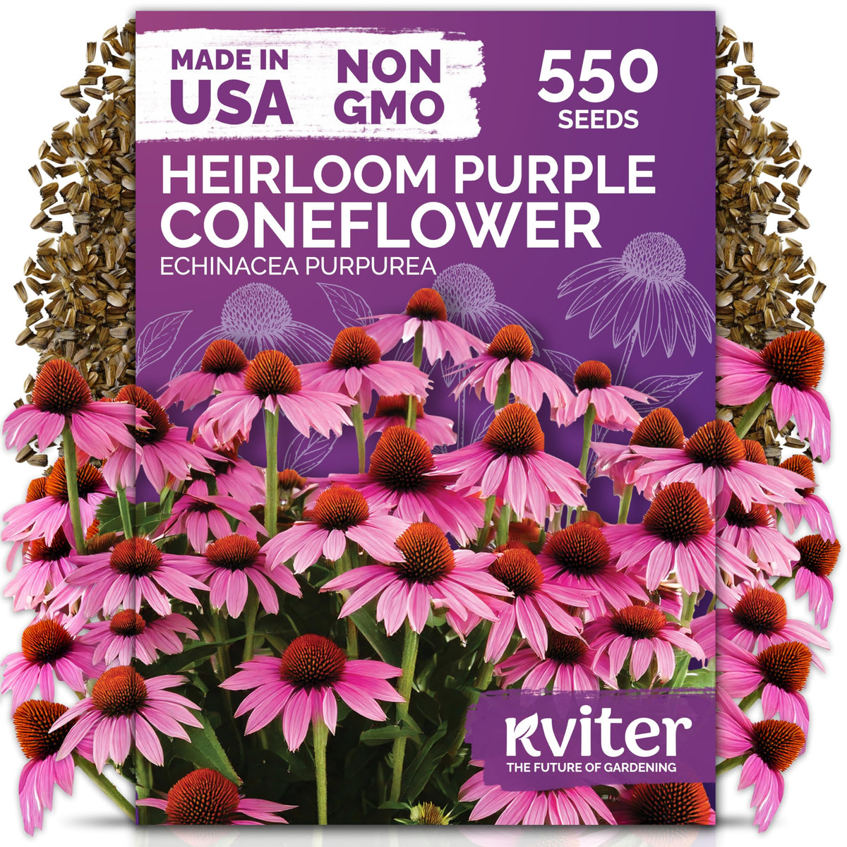 KVITER 550 Purple Coneflower seeds seed packet ready for planting and germination