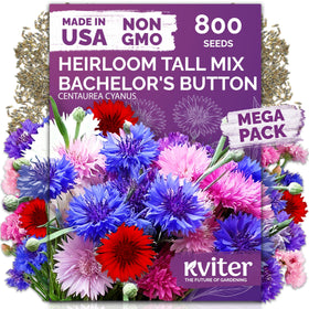 KVITER 800 Mix Bachelor Button Seeds for sowing in sun-filled beds adds early color