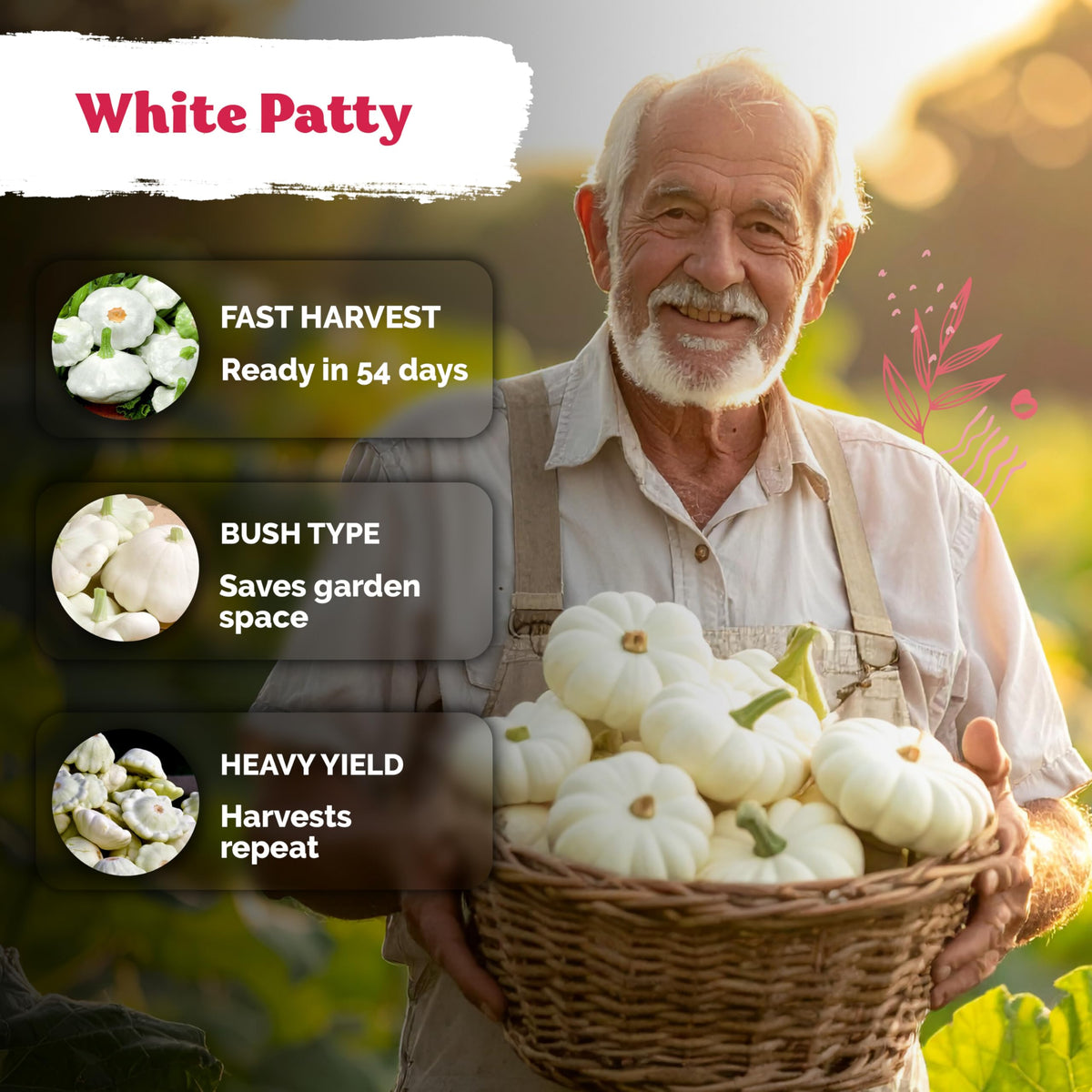 KVITER 54-day harvest patty pan fruits on the vine