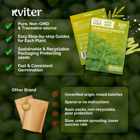 KVITER Epazote seeds compact growth suitable for small spaces