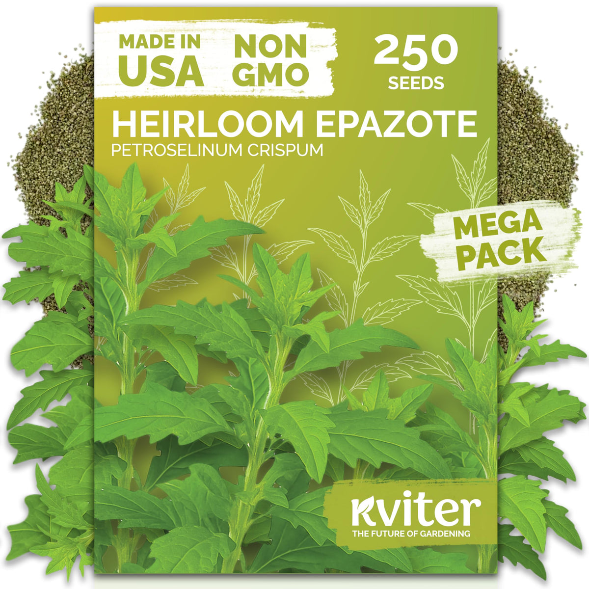KVITER Epazote seeds show high germination in optimal conditions
